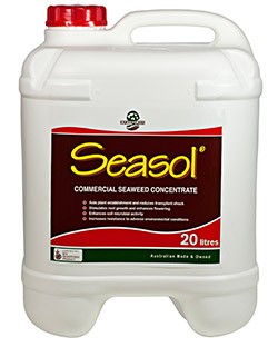 Seasol Commercial Seaweed Concentrate 20L