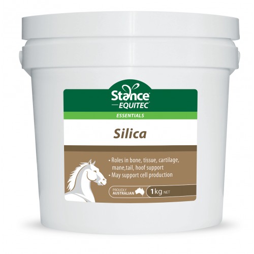 Equitec Silica 1kg 