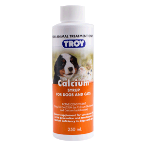 Troy Calcium Syrup 250ml