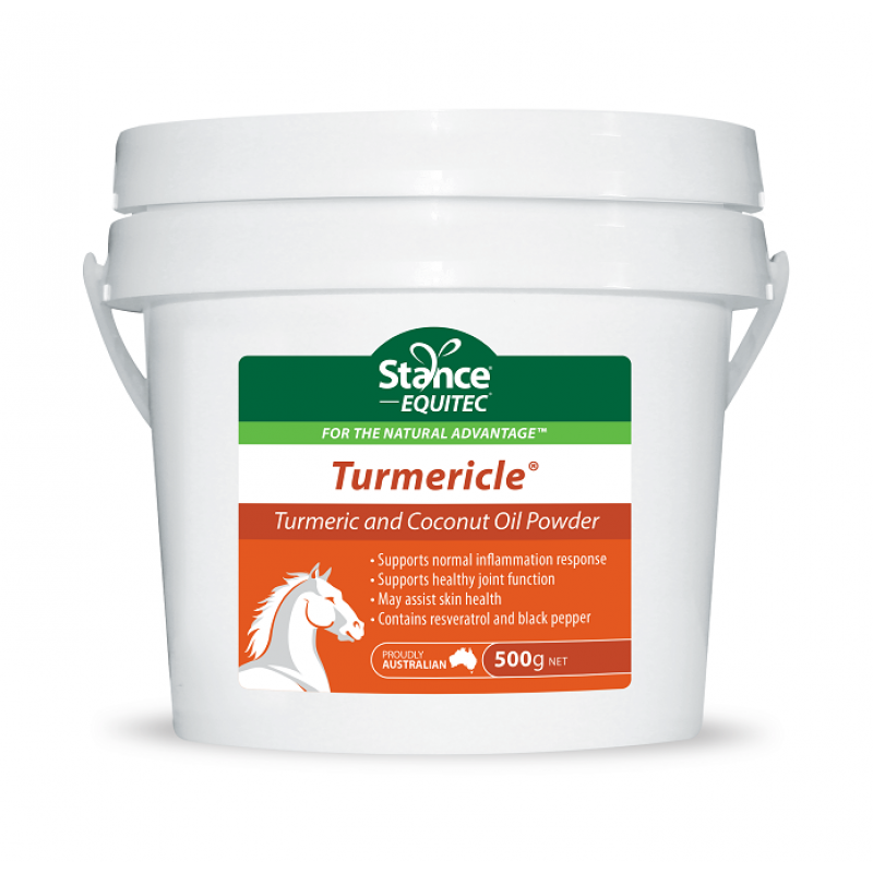 Equitec Performance Products Turmericle Powder 500g