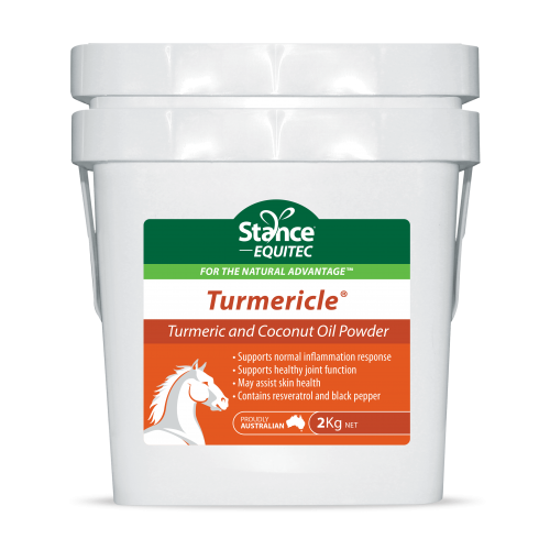 Equitec Performance Products Turmericle Powder 2kg