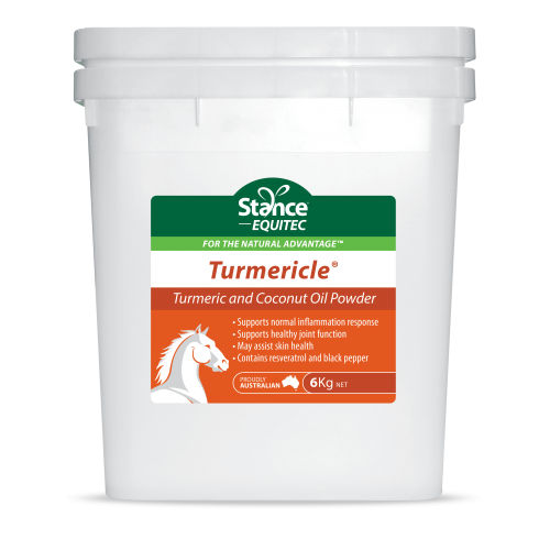 Equitec Performance Products Turmericle Powder 6kg 