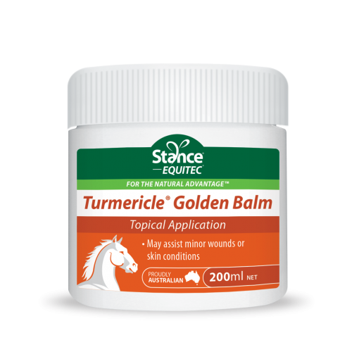 Equitec Performance Products Turmericial Golden Balm 200ml 