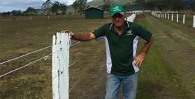 Herbicide mix giving long-term weed control along fencelines