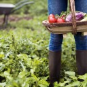 Stepping into Spring: 5 Tips to Prepare Your Veggie Garden