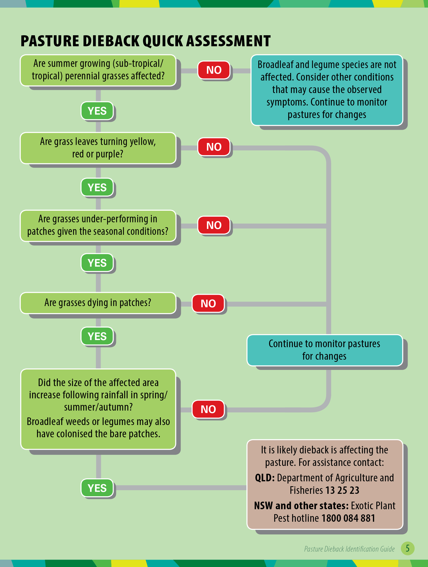 pasture dieback assessment chart